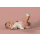 Owlet Smart Sock 3 - 1065555 - zdjęcie 3